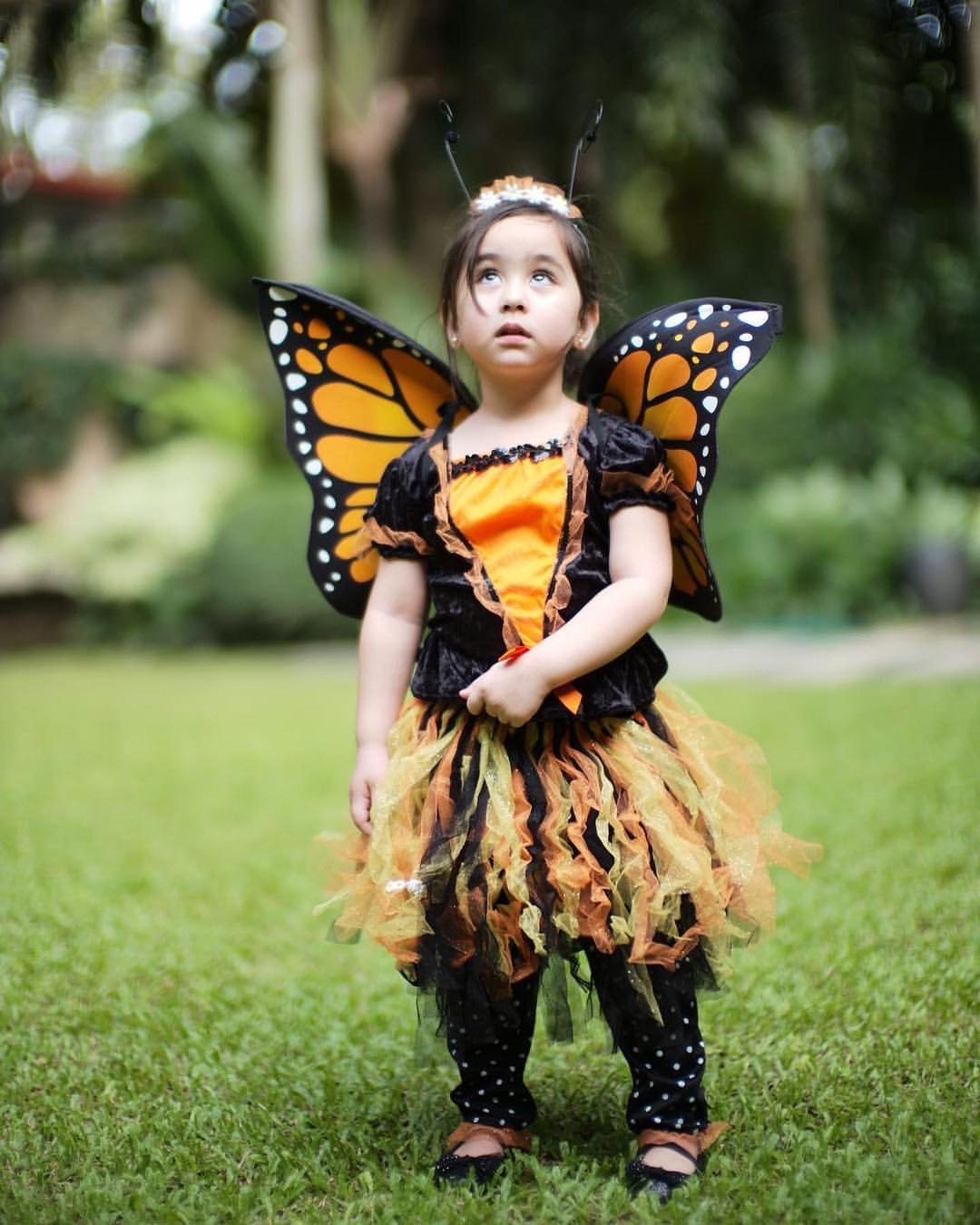 Scarlet Snow as butterfly
