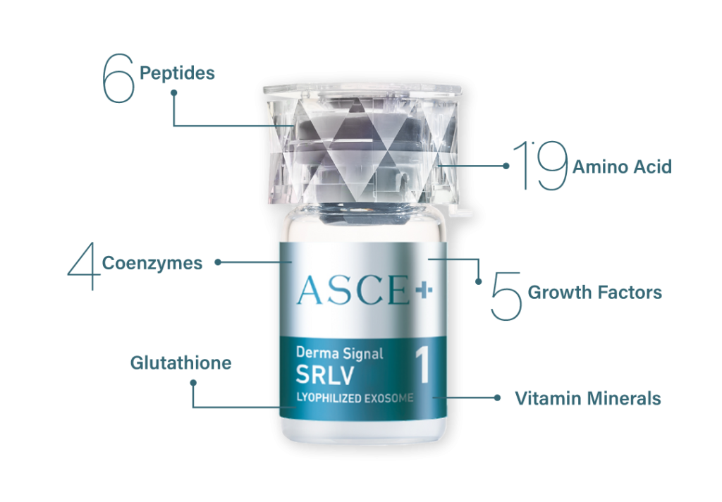 Belo ASCE+ Exosomes SRLV 1